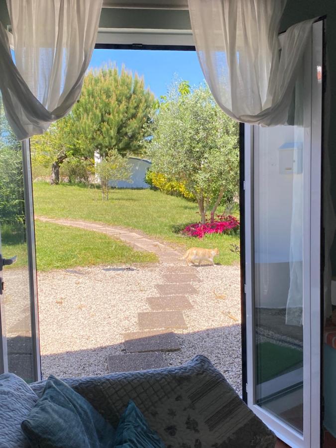 A Quinta Da Estrelinha Guest House Quinta de Cavaleiros Luaran gambar